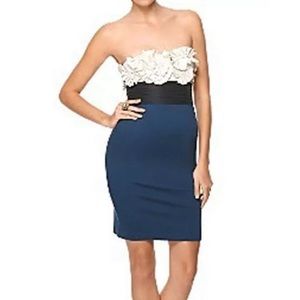 BCBG CARBON body con Strapless Dress - 10